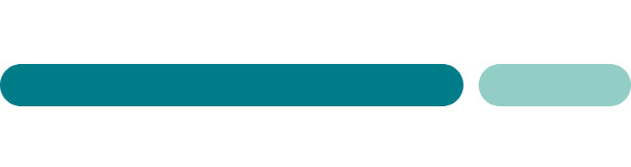 dash icon